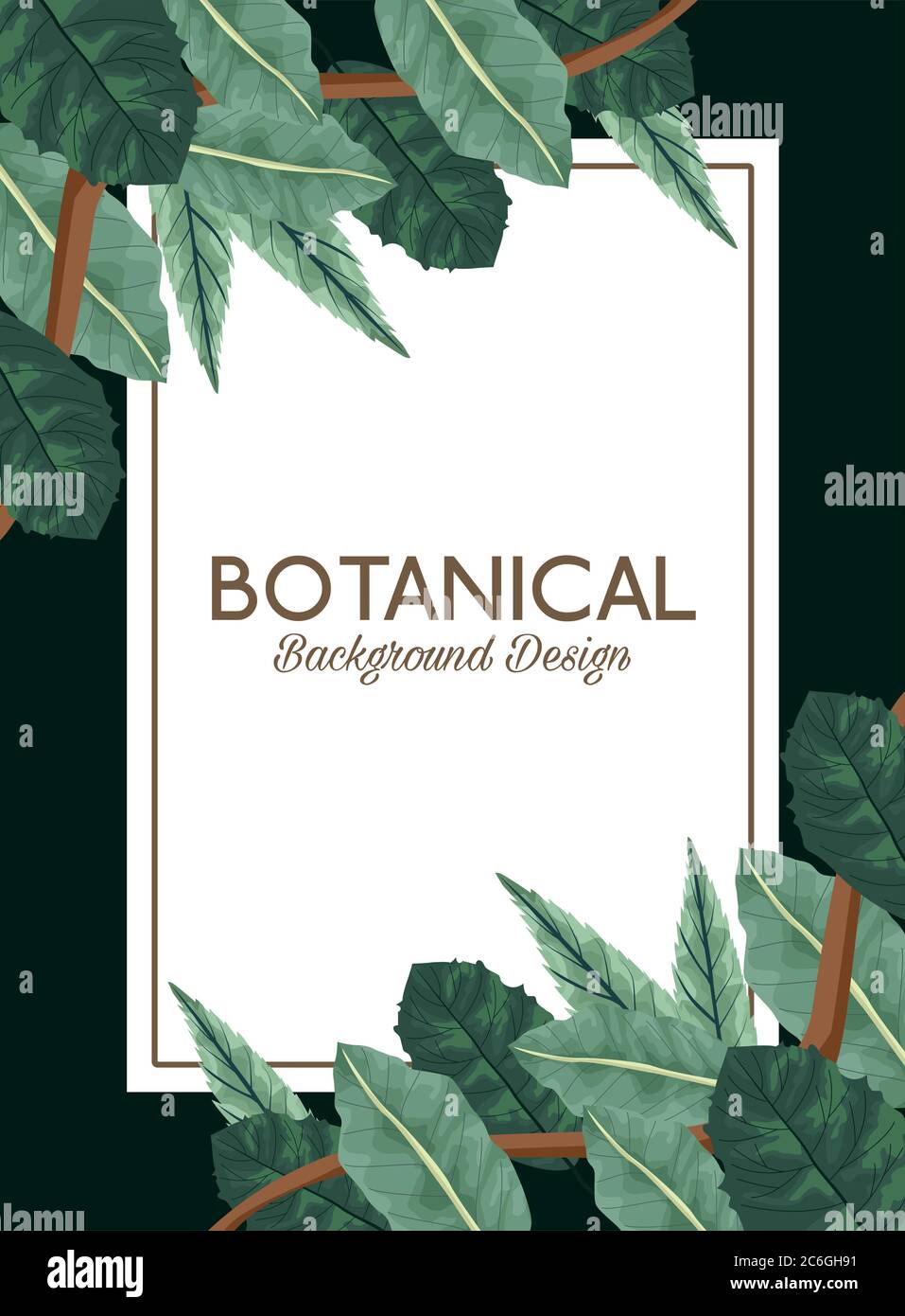 tropical leafs in square frame and lettering botanical background ...