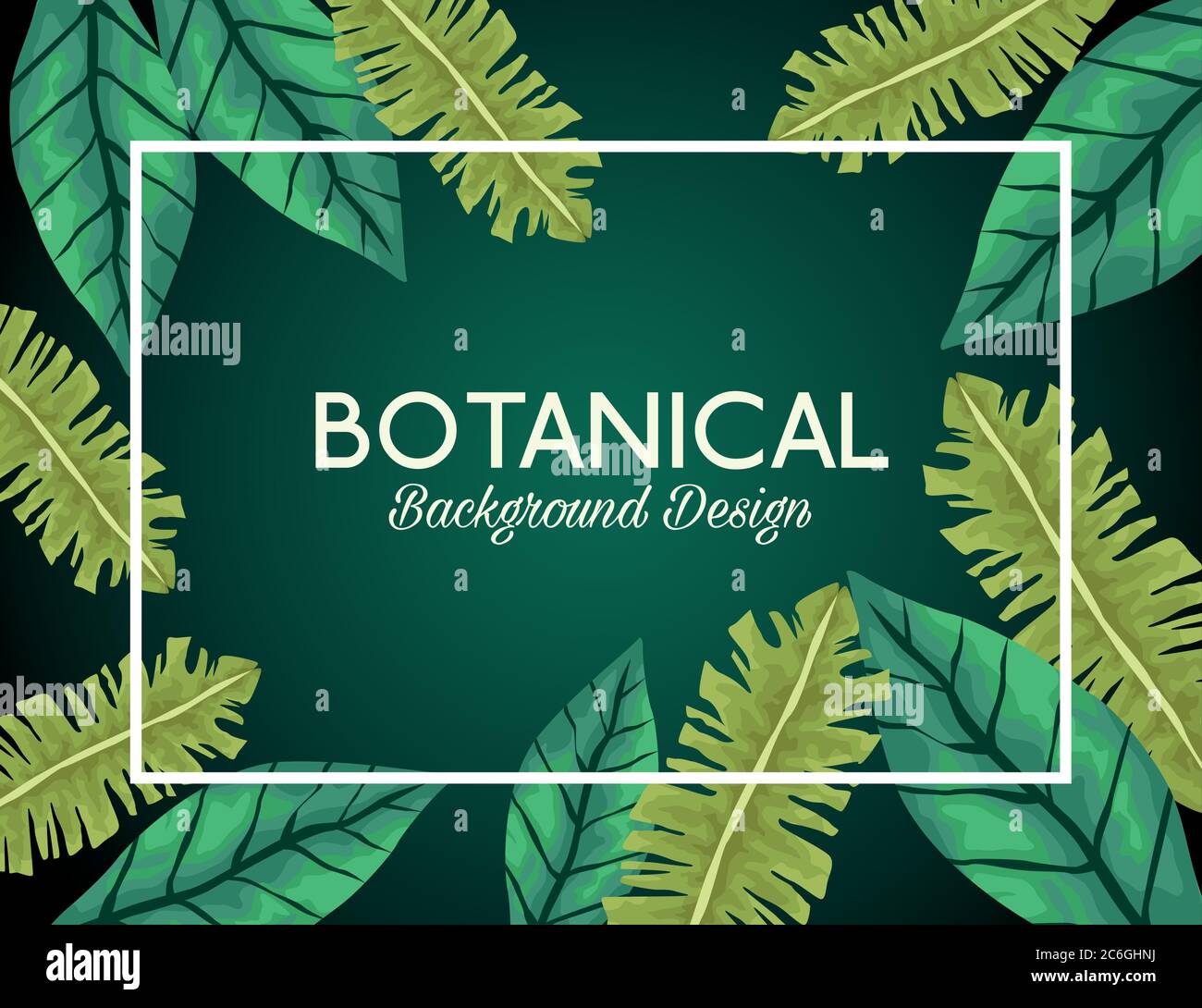 tropical leafs in square frame and lettering botanical background ...