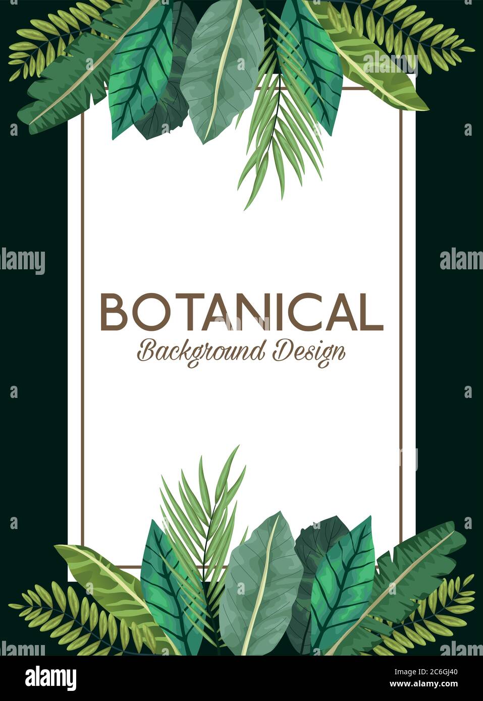 tropical leafs in square frame and lettering botanical background ...