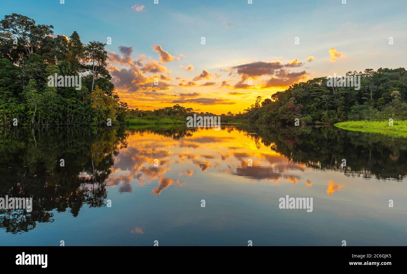 Panorama of a sunset in the Amazon Rainforest which comprise the countries of Brazil, Bolivia, Colombia, Ecuador, Guyana, Peru, Suriname and Venezuela Stock Photo