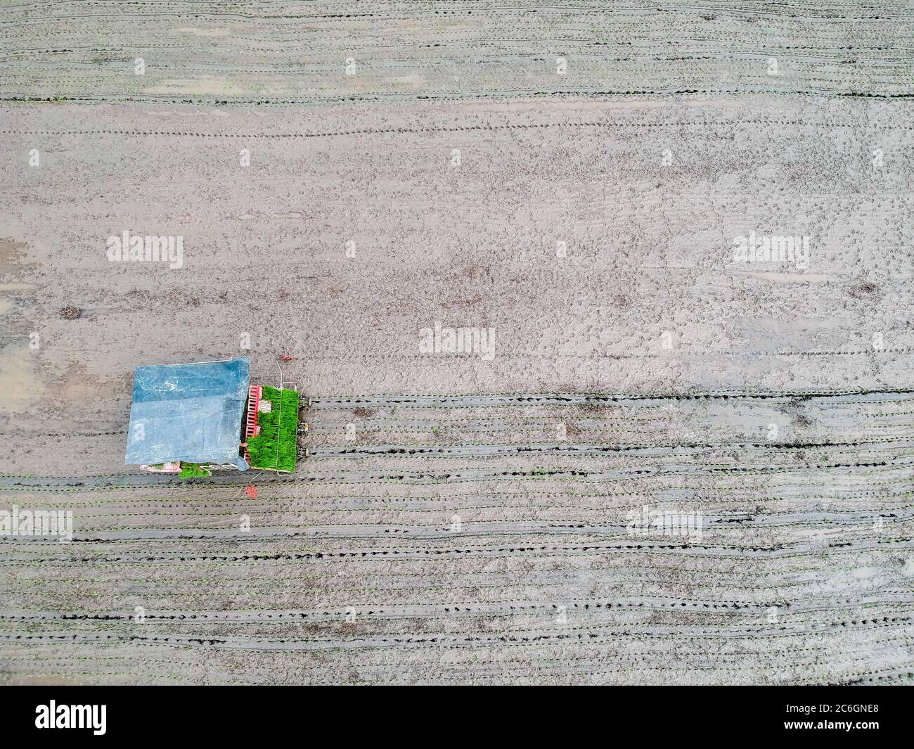 Aerial view of a broadcasting machine planting rice seeds at a farmland in Rugao city, east China's Jiangsu province, 20 June 2020. Stock Photo