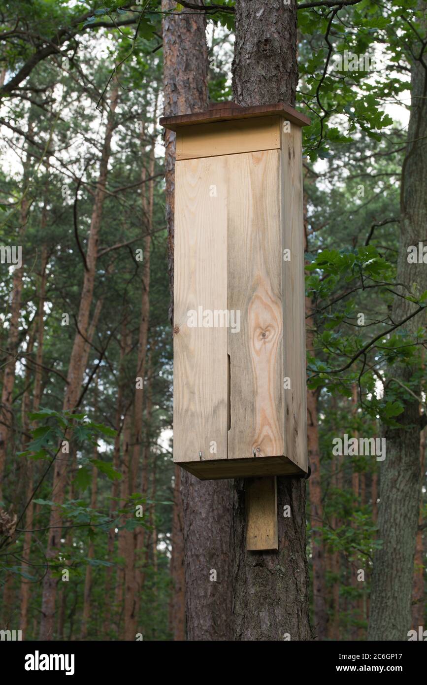 wooden wild bees hotel, insect shelter on tree in forest Stock Photo