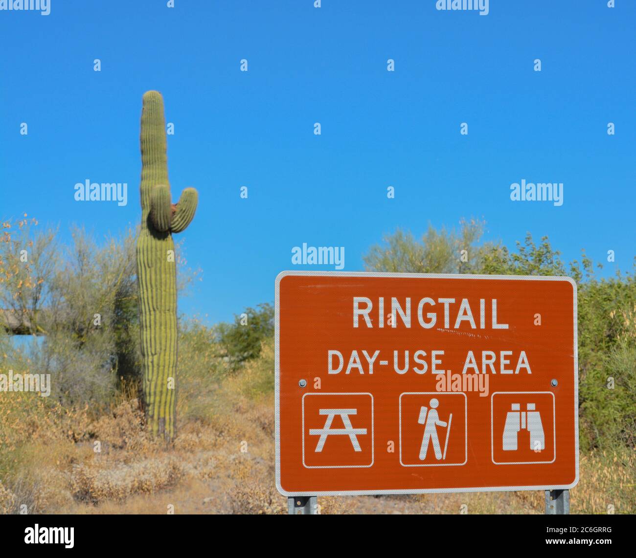 Ringtail Day Use Area Sign in lake Pleasant Regional Park. Sonoran