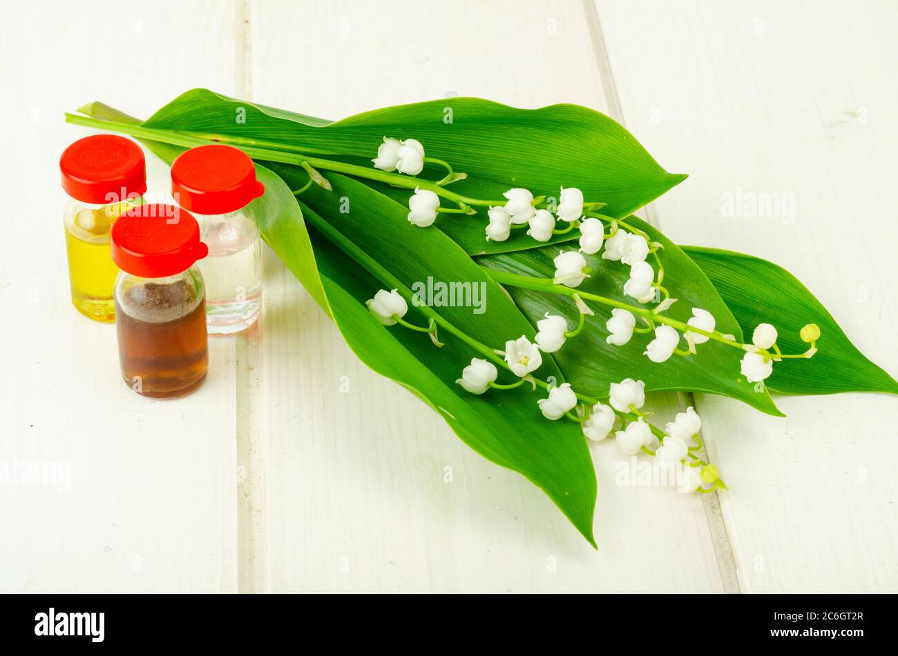 Lily of the Valley, Essential Oil, Extract, Tincture, Infusion, Remedy,  Herbal Capsules. Fresh Flowers Convallaria Stock Photo - Image of scent,  flower: 233990598