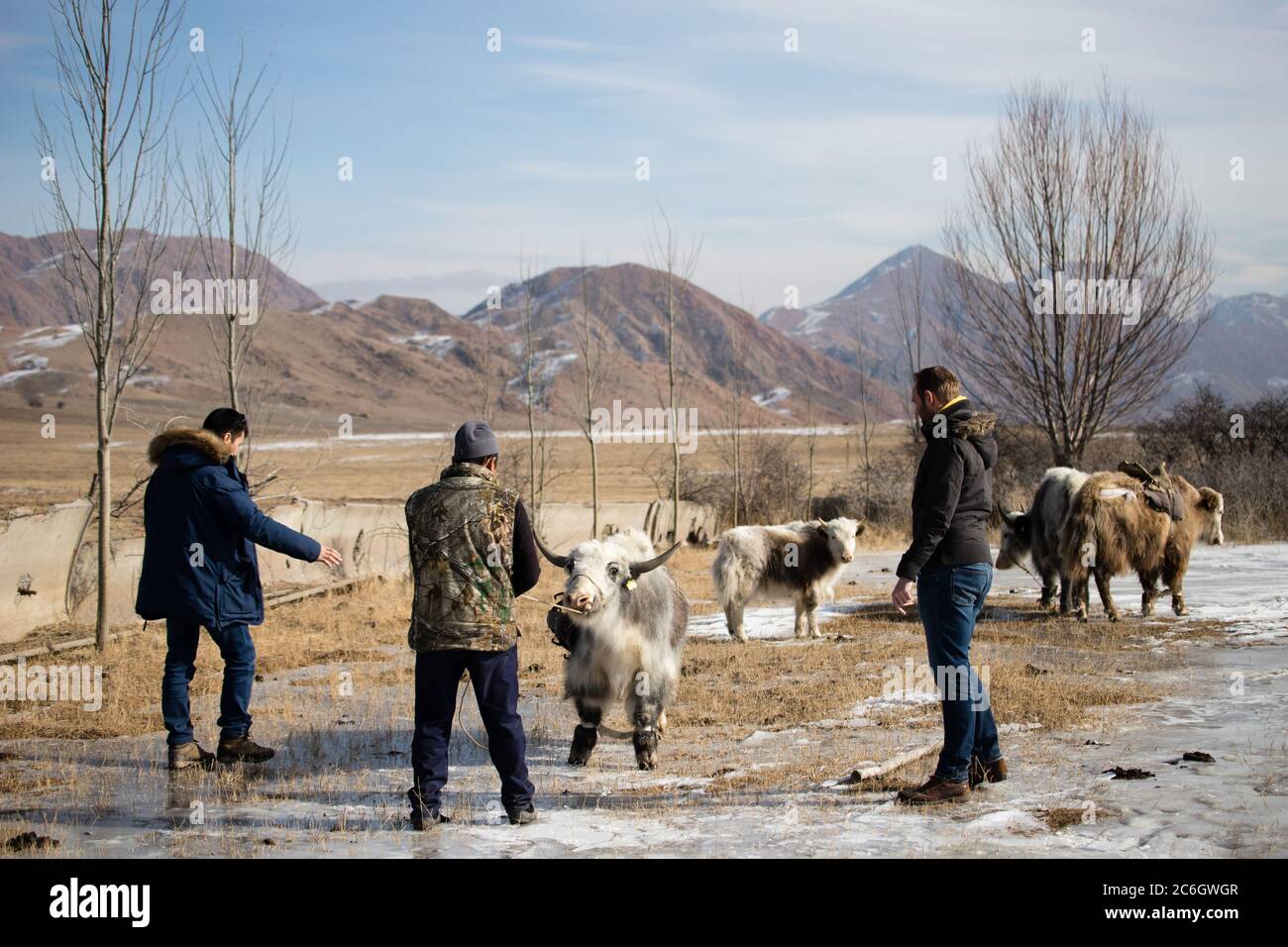 Scenes from Jiachy Yurt Camp on the South Shore of Issyk Kol in Kyrgyzstan. Stock Photo