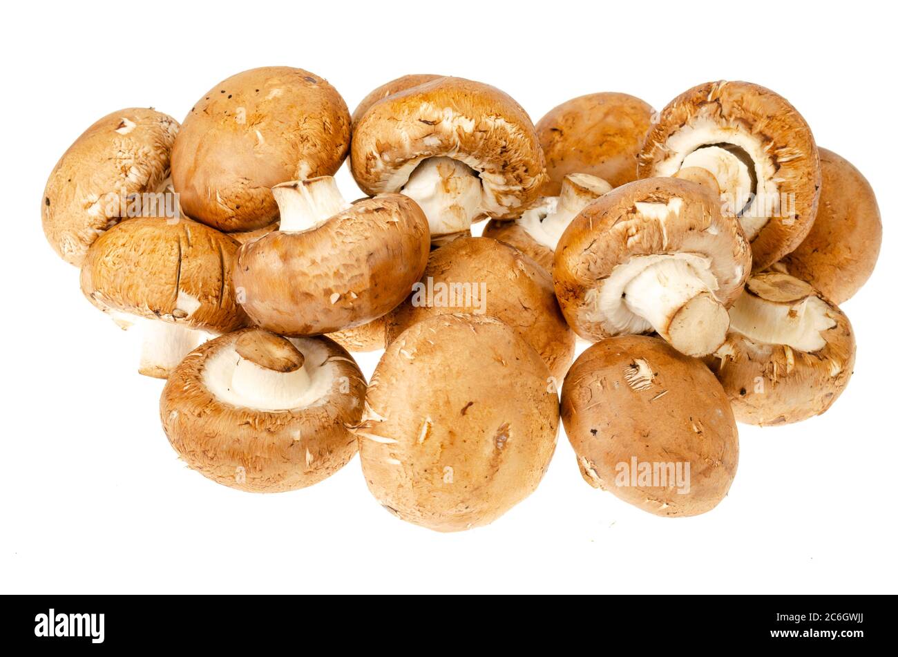 Brown royal champignons on white background. Photo Stock Photo