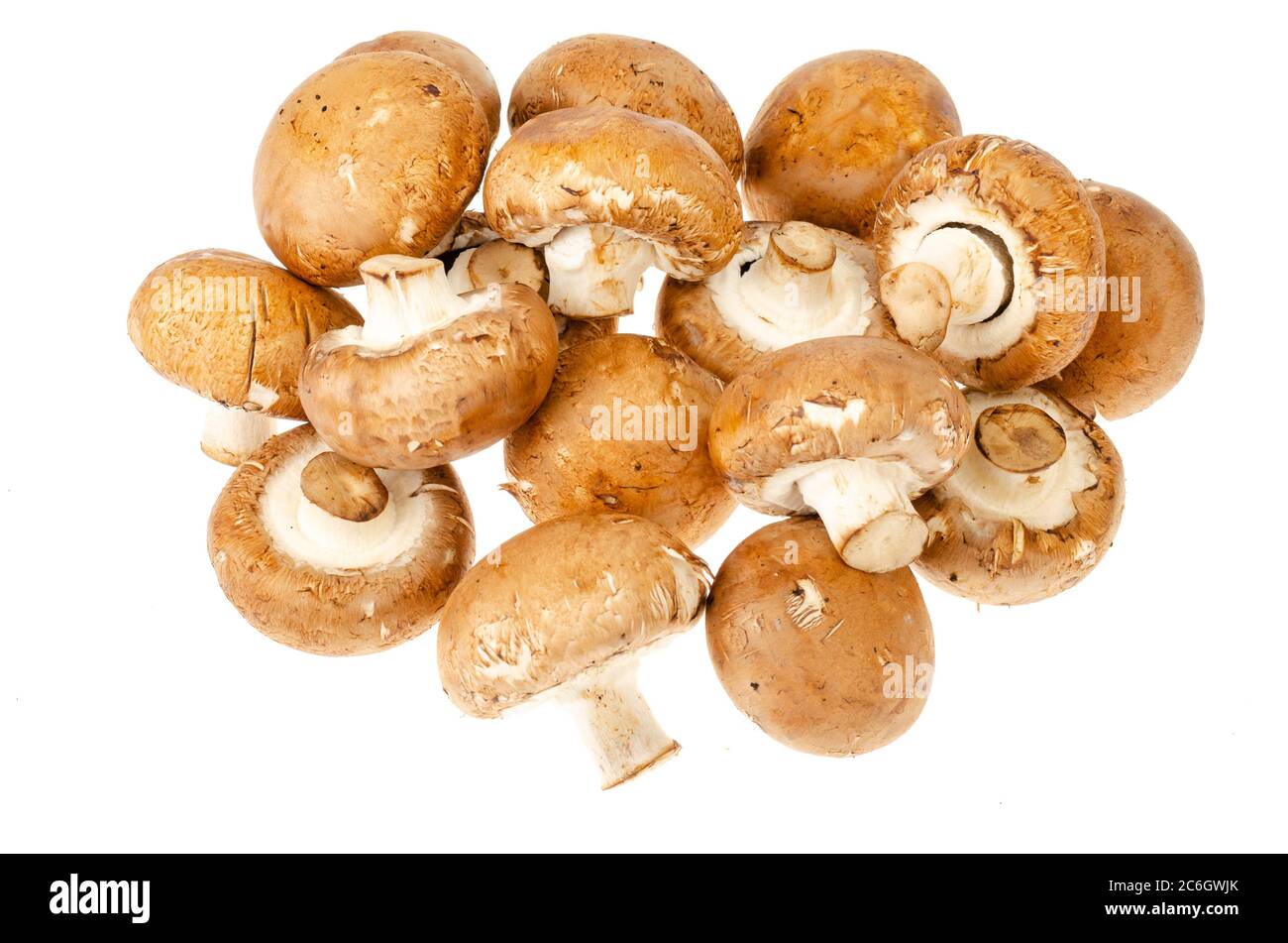 Brown royal champignons on white background. Photo Stock Photo
