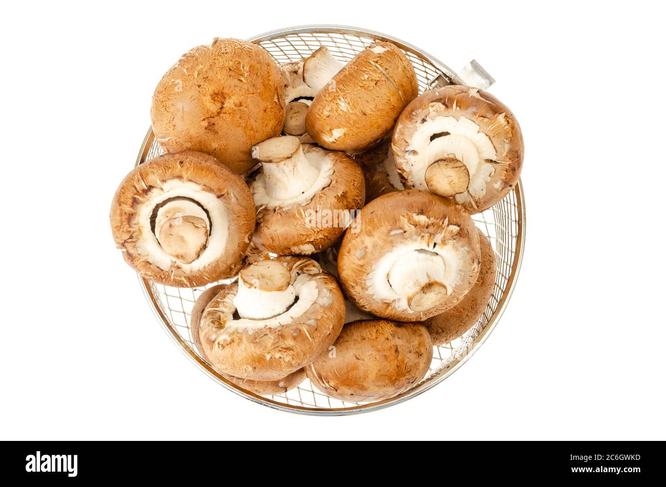 Brown royal champignons on white background. Photo Stock Photo