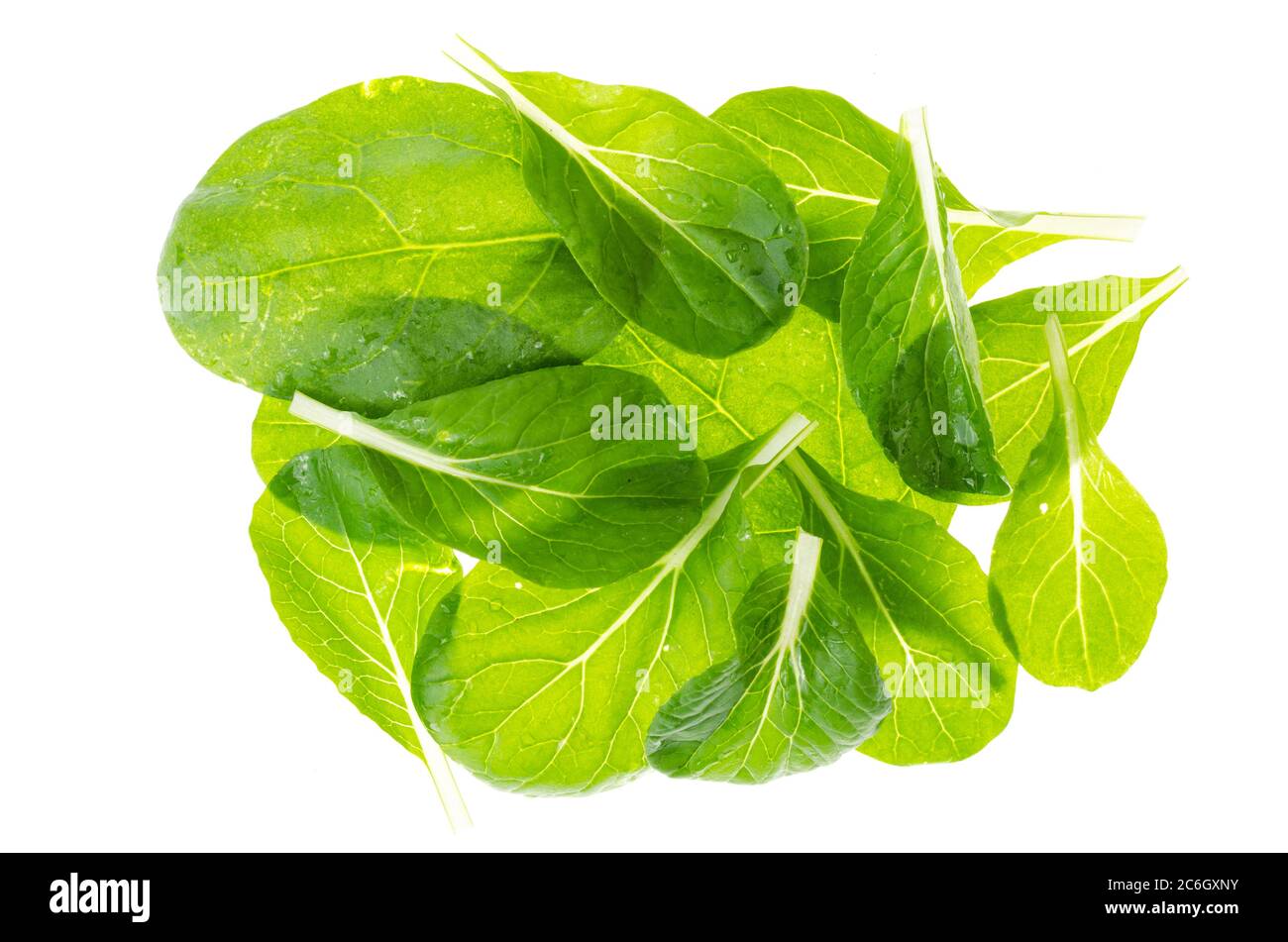 Green spinach leaves isolated on white background Stock Photo - Alamy