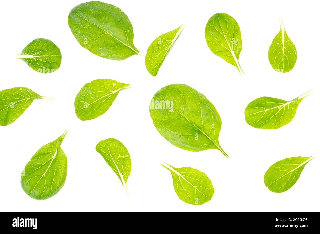 Green spinach leaves isolated on white background Stock Photo - Alamy