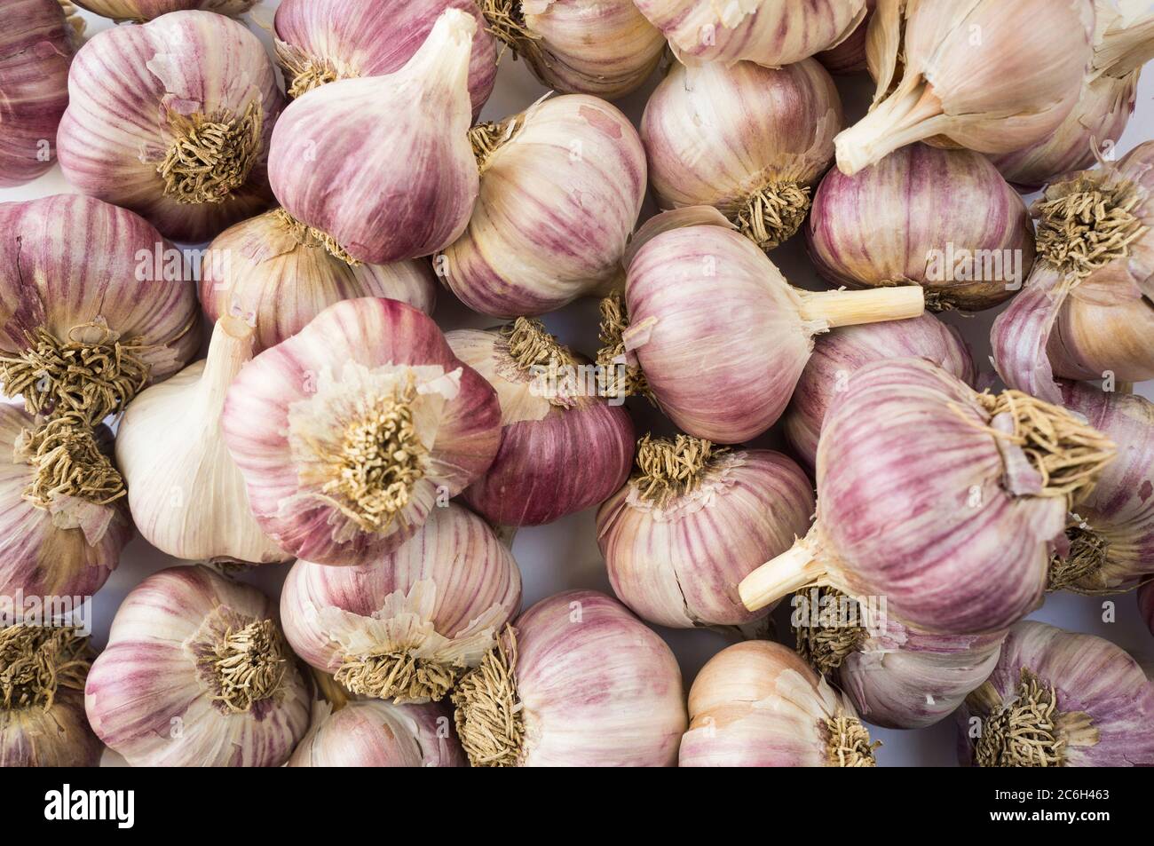 Fresh garlic closeup. Pile of garlic heads. Garlic heap. Background of garlic Stock Photo Alamy