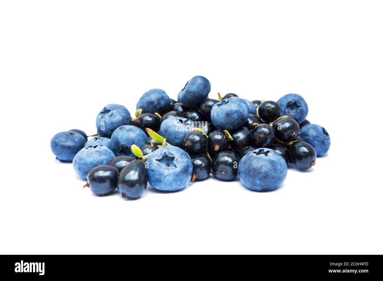 Blueberries and black currants isolated on white bacground. Ripe blueberries with copy space for text. Blueberry isolated on white. Bilberries and cur Stock Photo
