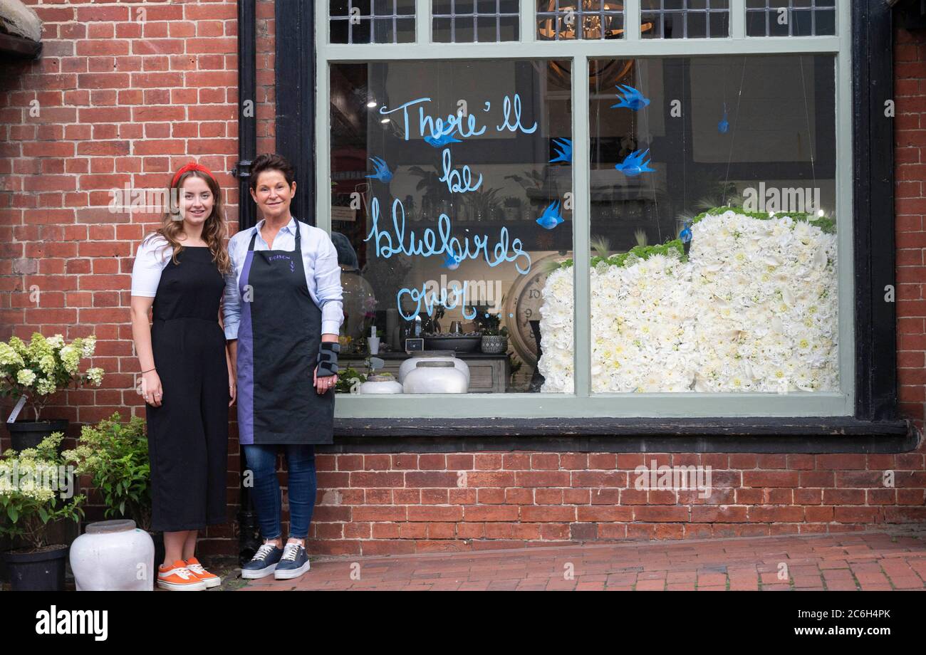 Poison ivy ditchling hires stock photography and images Alamy