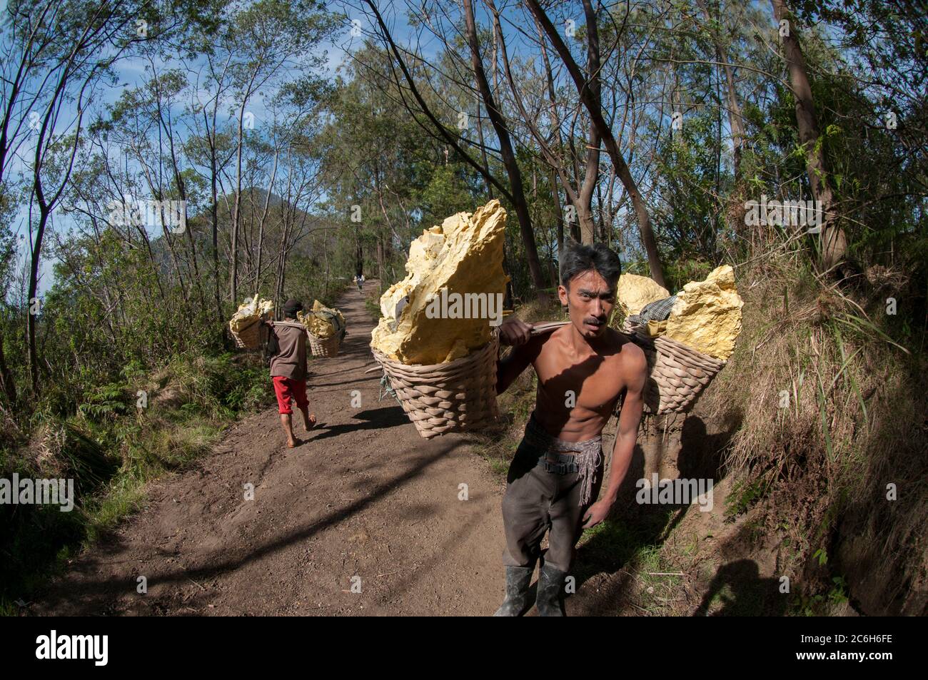 Local man carrying blocks of sulphur in baskets down from crater, Mount ...