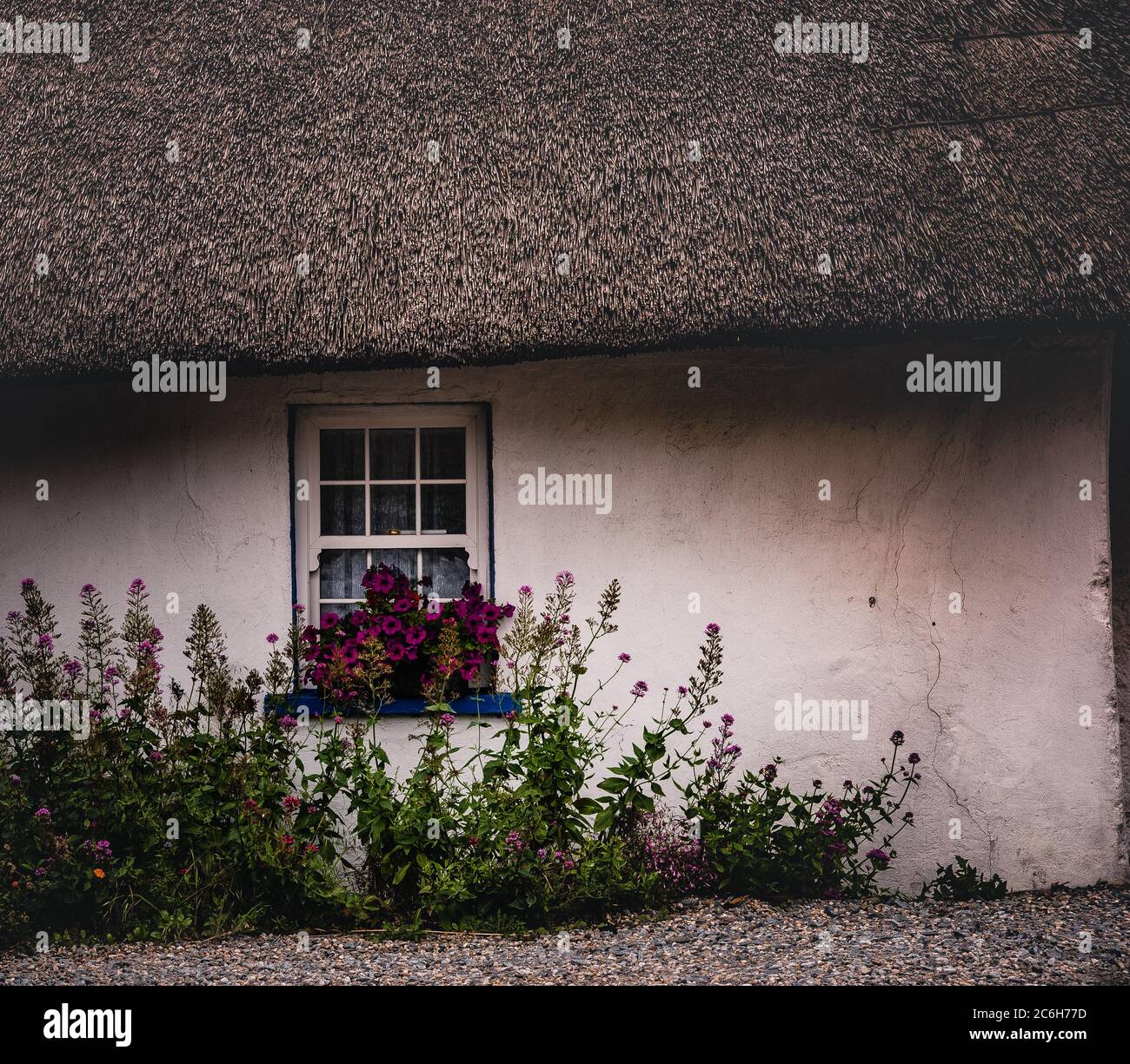 Facade or exterior of a classic Irish cottage house with a straw roof and some flowers at the window. Kilmore Quay, County Wexford, Ireland Stock Photo