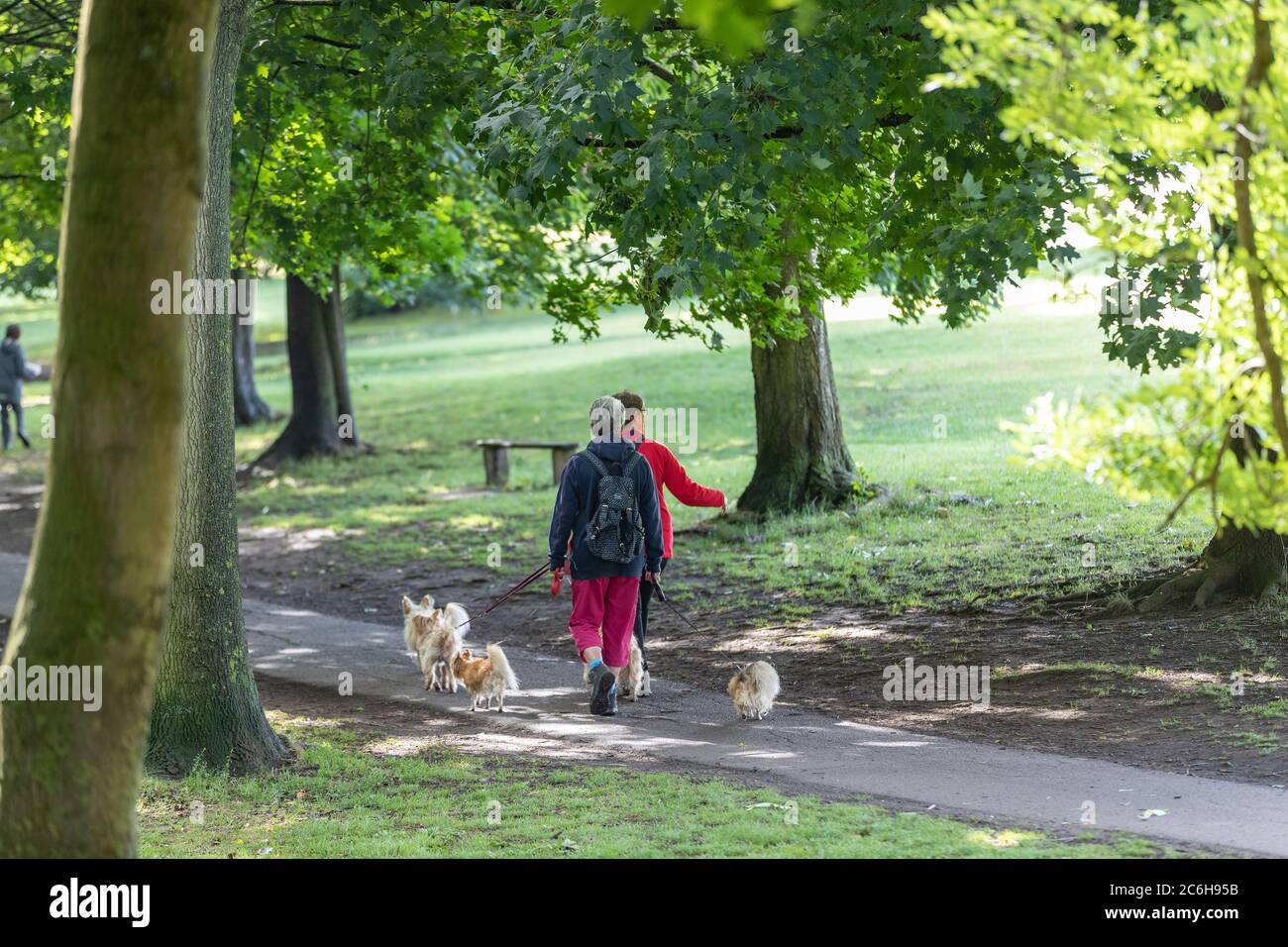 UK Weather, Northampton, 10th July 2020. Two ladies walking there dogs and getting there morning exercise in Abington Park now the rain has stopped and the suns come out. Credit: Keith J Smith/Alamy Live News Stock Photo