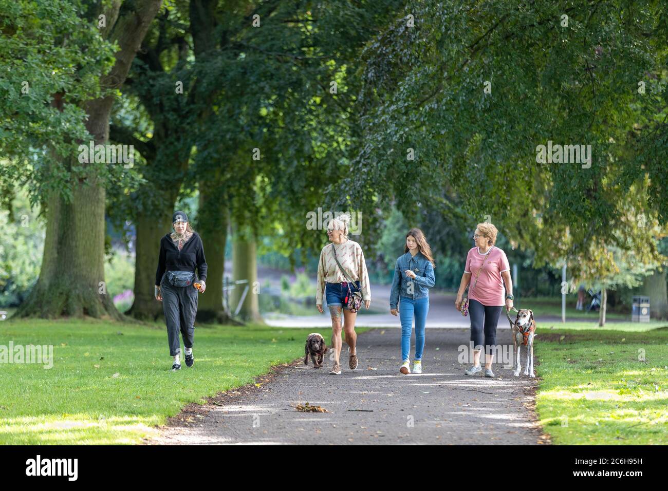 UK Weather, Northampton, 10th July 2020. Four ladies out getting there morning exercise walking the dogs in Abington Park, walking up the Avenue of trees  towards Park Ave South now the rain has stopped and the sun comes out. Credit: Keith J Smith/Alamy Live News Stock Photo
