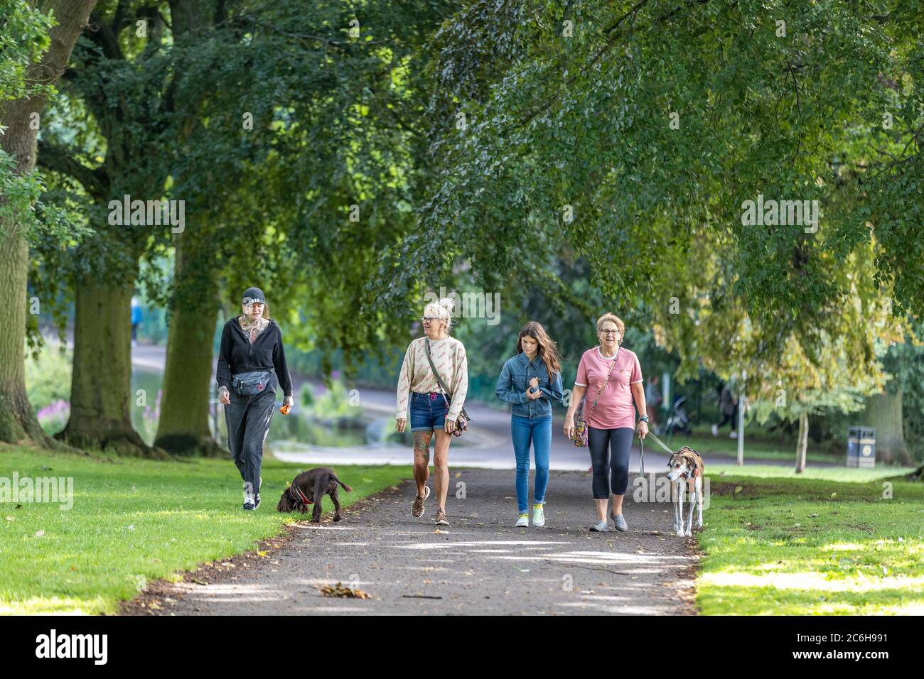 UK Weather, Northampton, 10th July 2020. Four ladies out getting there morning exercise walking the dogs in Abington Park, walking up the Avenue of trees  towards Park Ave South now the rain has stopped and the sun comes out. Credit: Keith J Smith/Alamy Live News Stock Photo