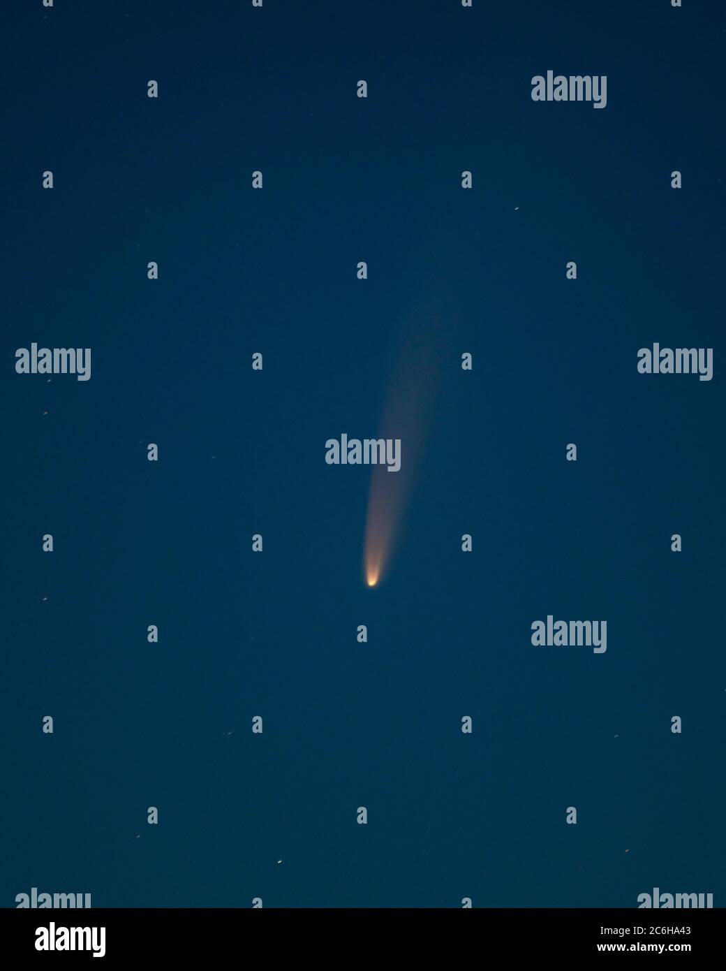 Colmers Hill, Dorset, UK. 10th July, 2020. UK Weather. Comet c/2020 F3 Neowise rises in the pre dawn skies. Credit: DTNews/Alamy Live Stock Photo