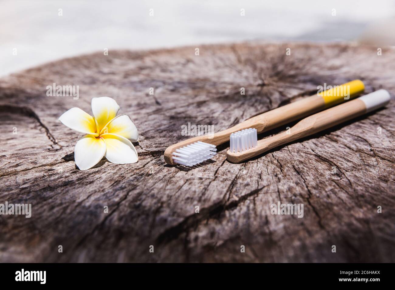 Two white and yellow eco friendly bamboo wooden toothbrushes on wooden ...