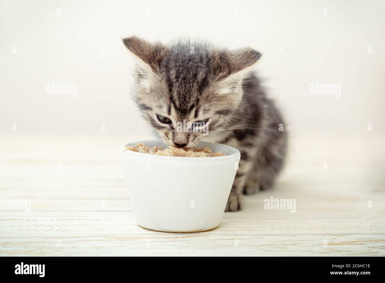 Кот в сметане. Котенок кушает. Котенок который есть. Смешные котята. Еда для котят.
