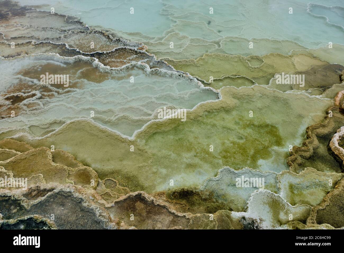 Colorful bands of thermophilic bacteria in Yellowstone National Park