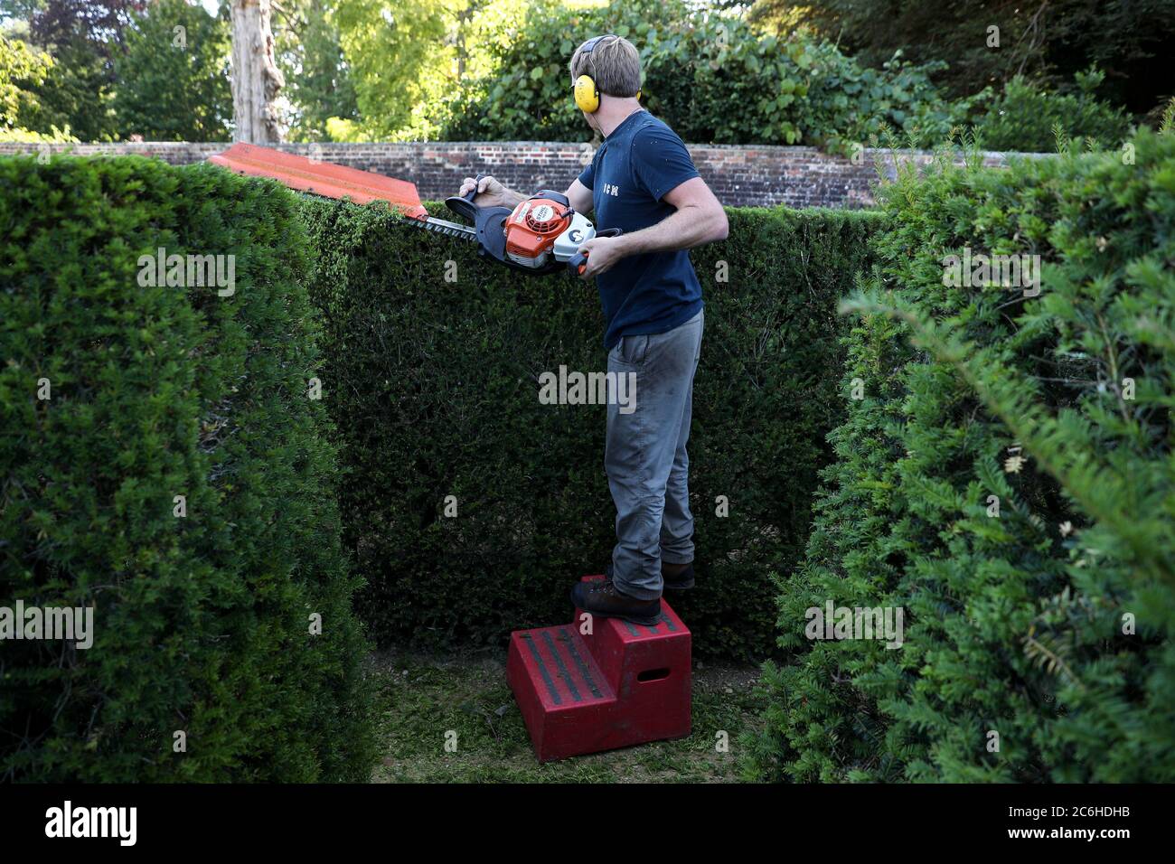 Alex Mccann Of Busters Countryside Management Trims The Hedges Of The Stansted Maze Which Is Closed