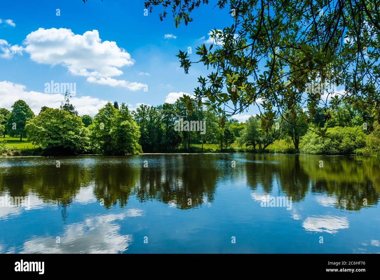UK Gardens.  Reflexions in a lake. Stock Photo