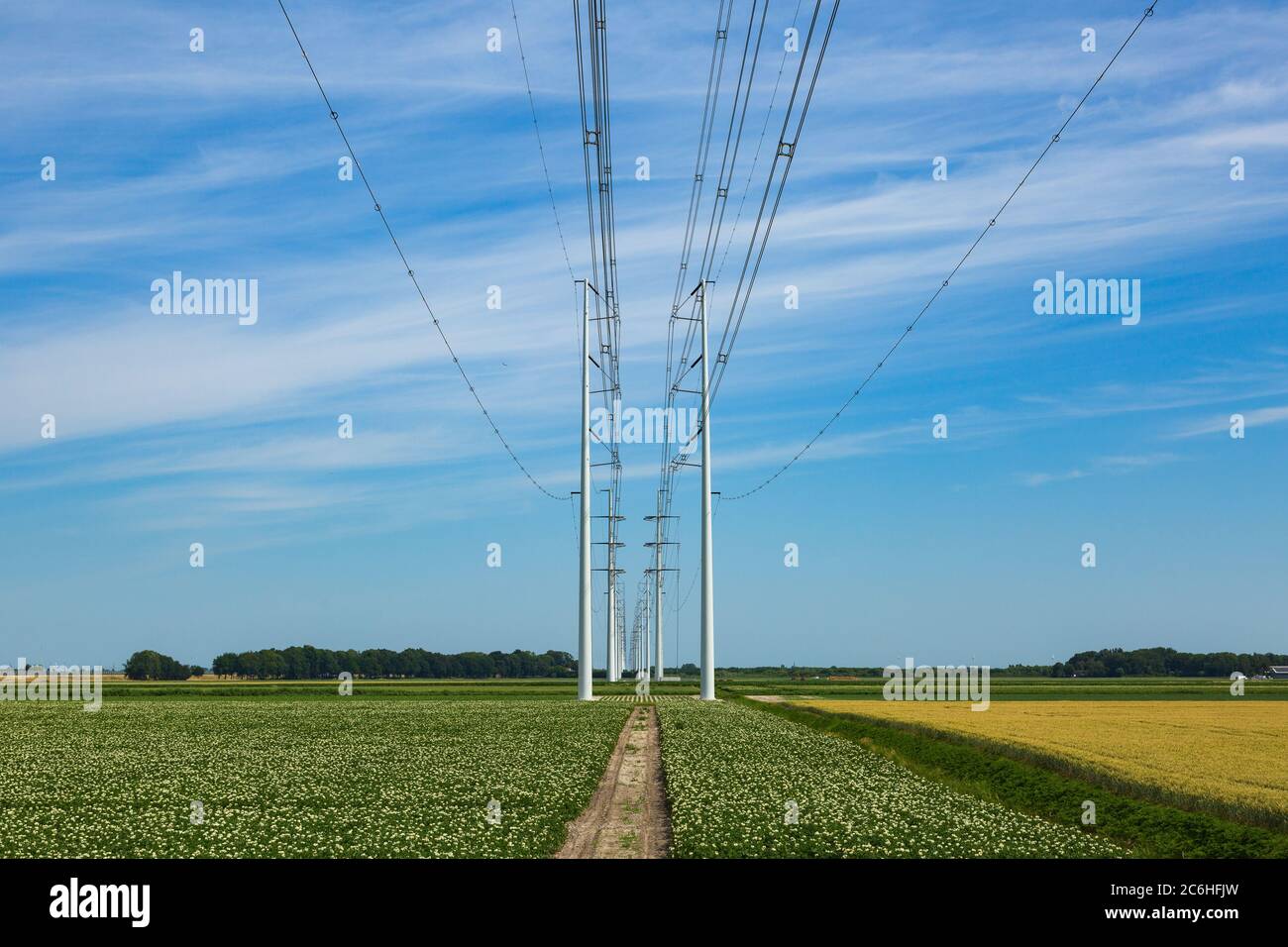 Modern electricity pylons in a Dutch agricultural summer landscape ...
