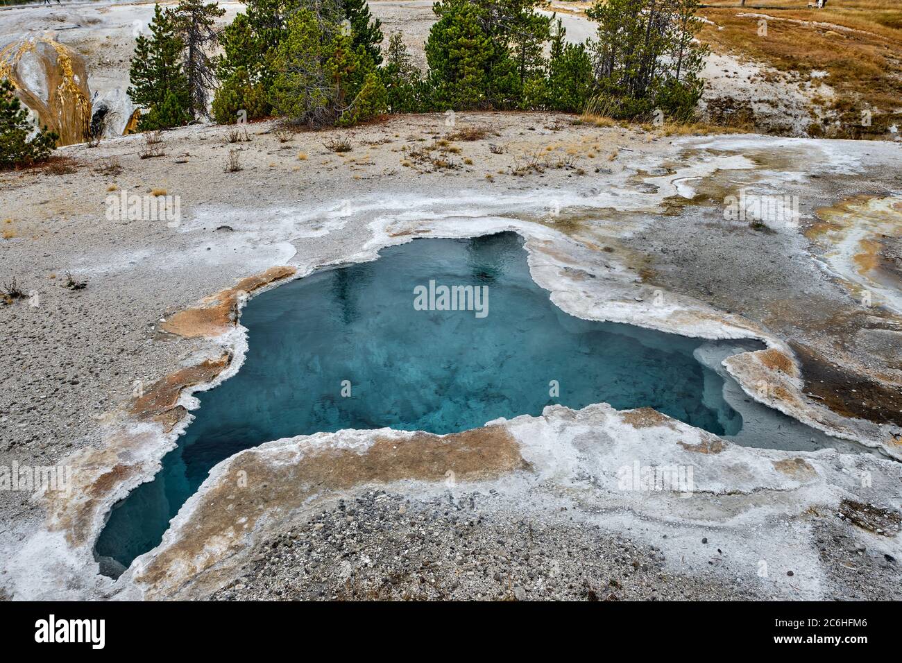 Blue star spring in Yellowstone national park, USA Stock Photo