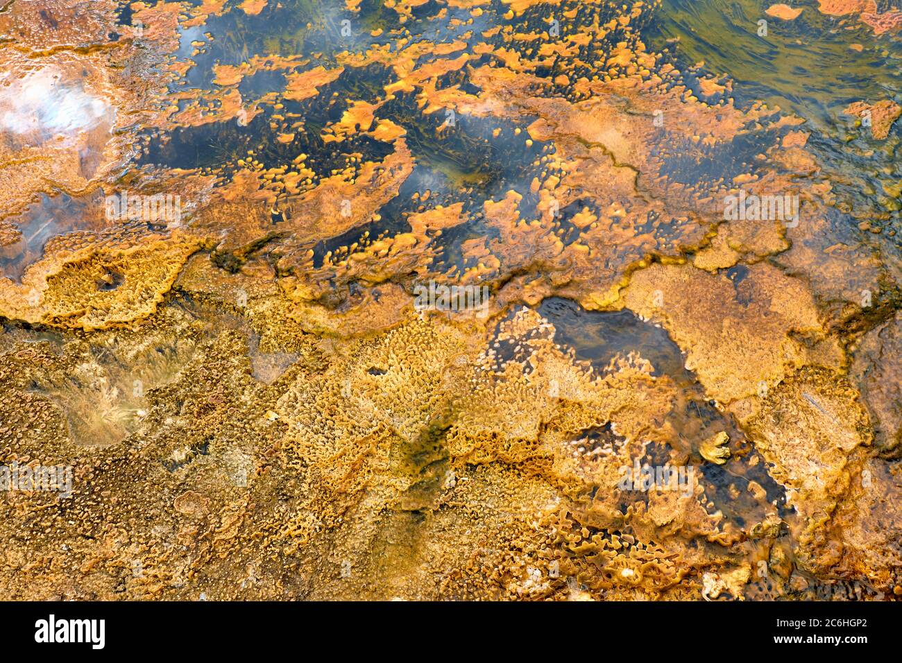Colorful bands of thermophilic bacteria in Yellowstone National Park