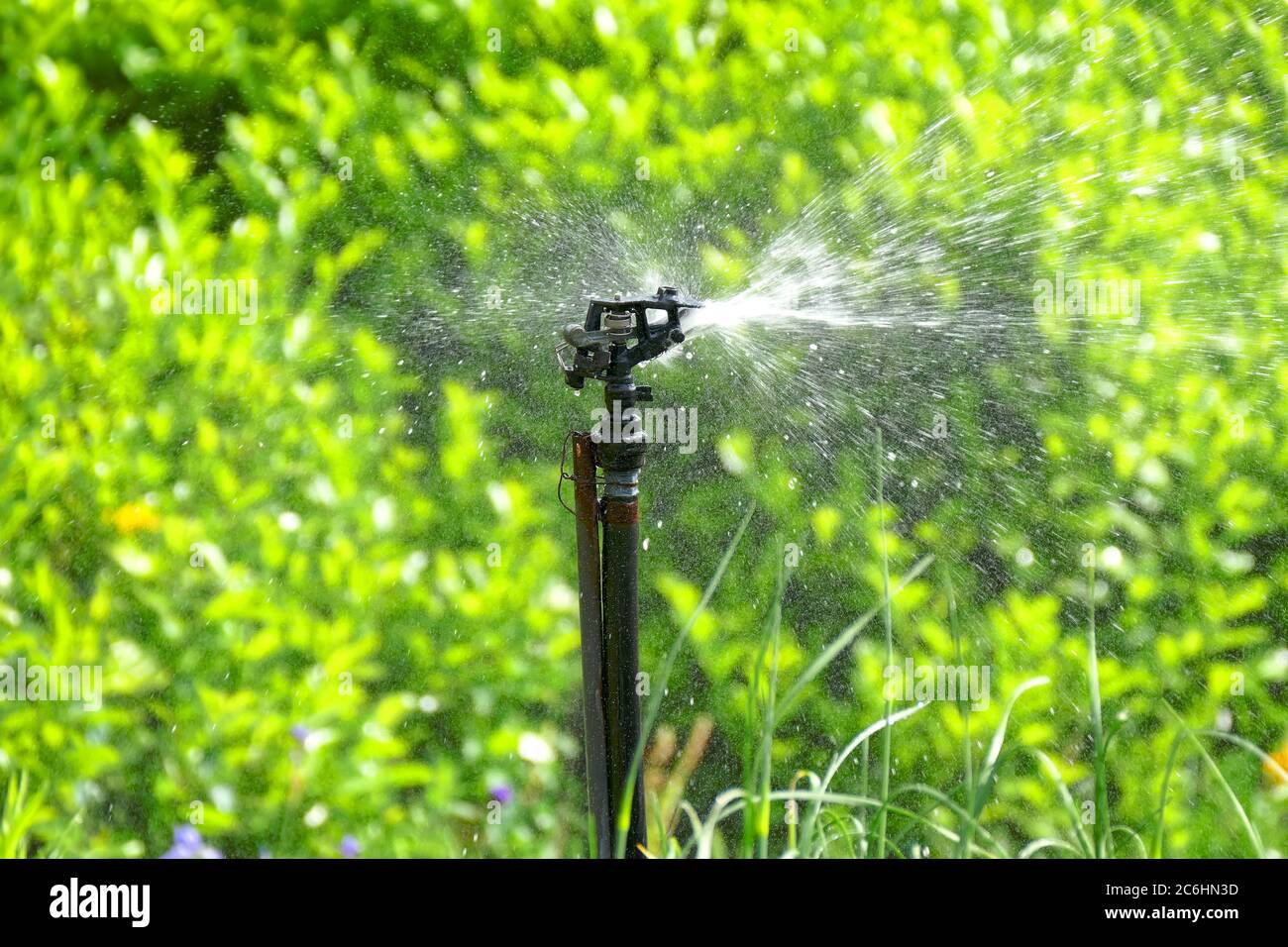 Auto sprinkler system hires stock photography and images Alamy