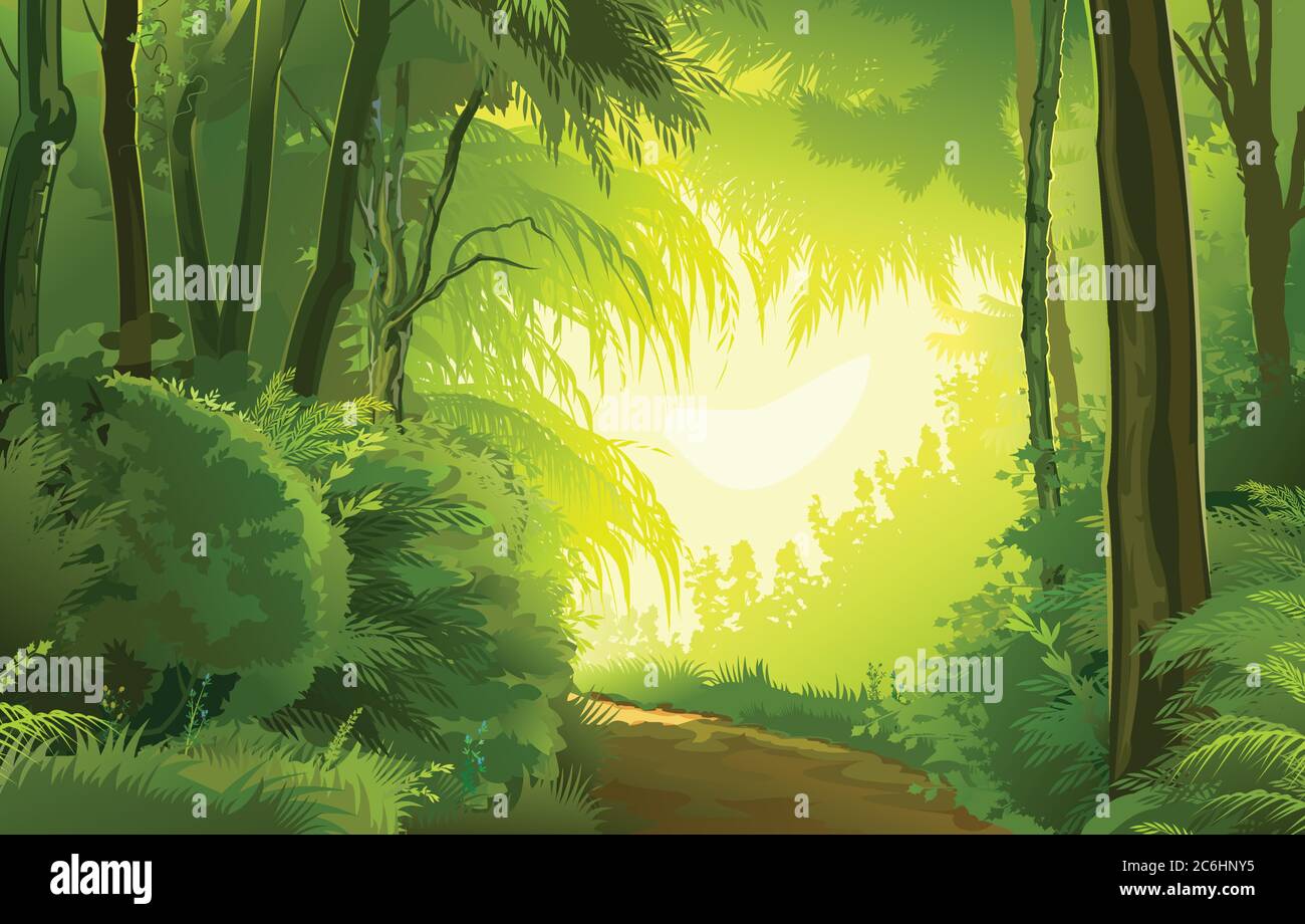 Detailed forest landscape. Road. Vector background image. Beautiful summer or spring scenery, european trees, tropical plants jungle. Detail Stock Vector