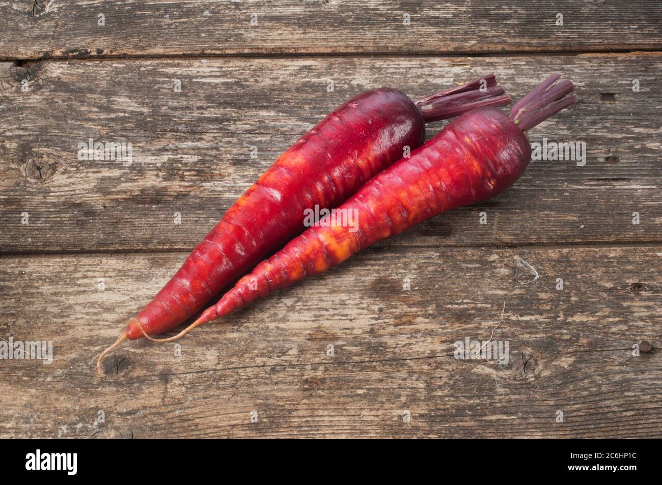 Studio shot of purple carrots on a rustic wooden background - John Gollop Stock Photo