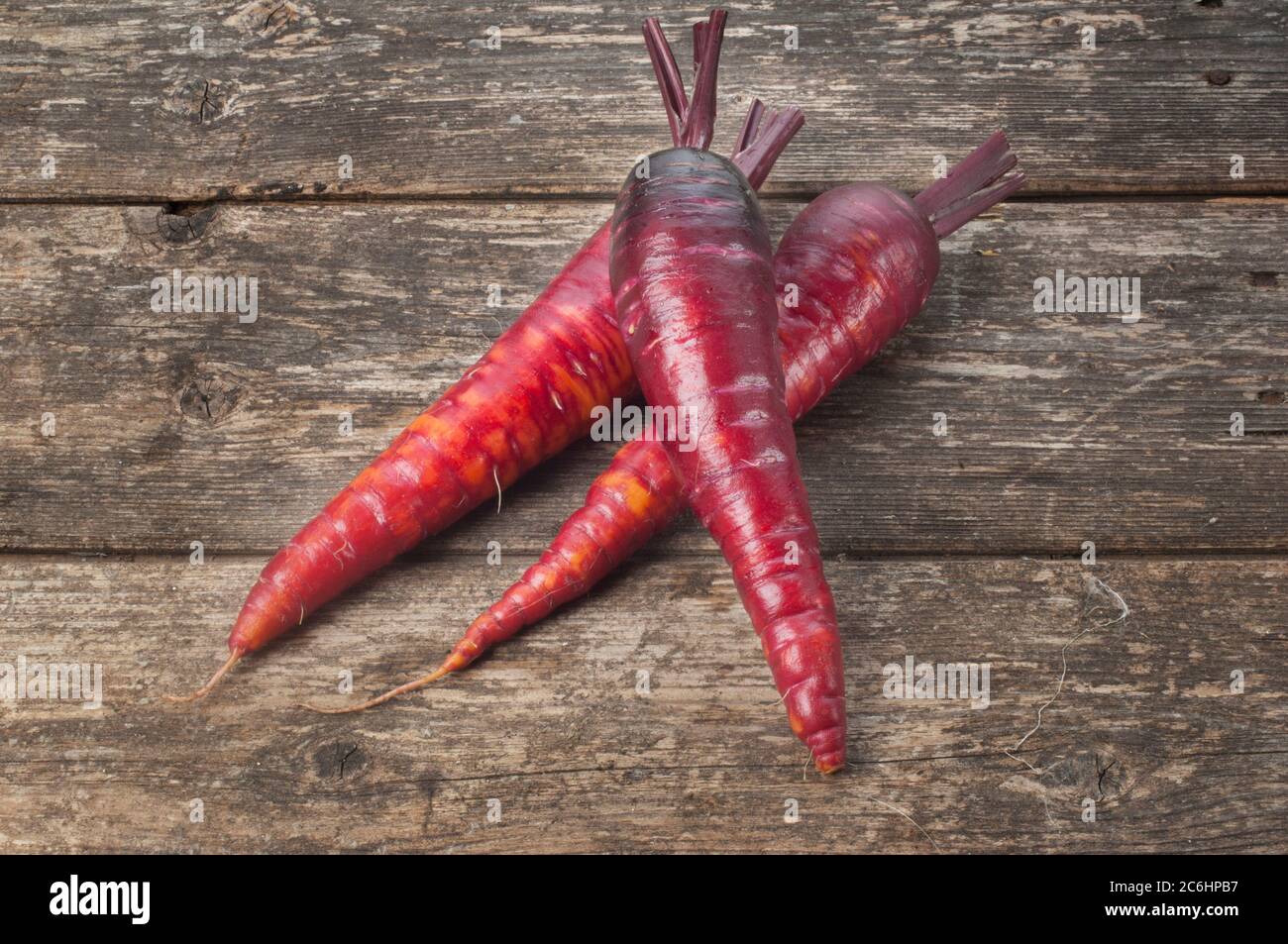 Studio shot of purple carrots on a rustic wooden background - John Gollop Stock Photo