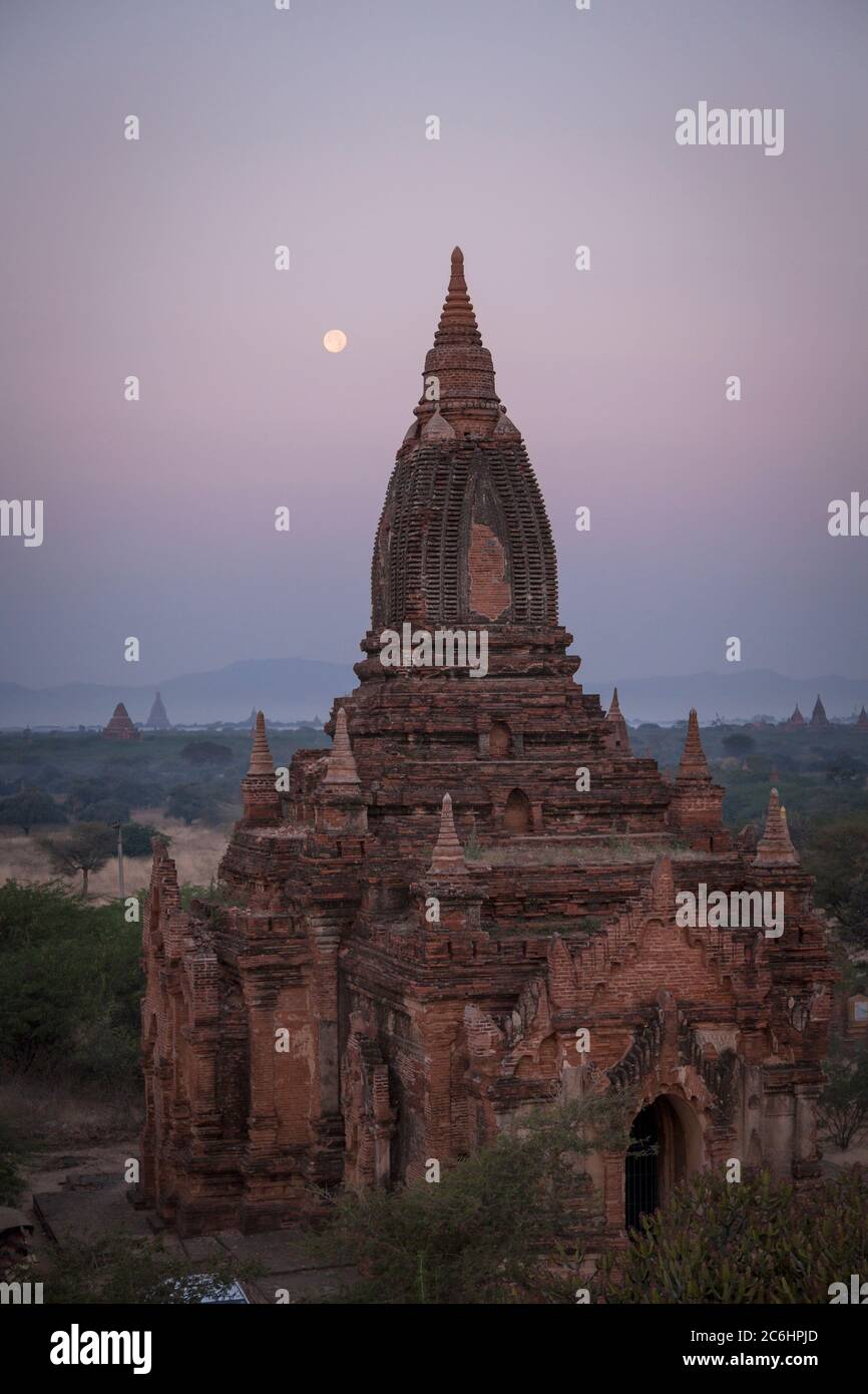 The moon rises over the temples and pagodas at sunrise in Old Bagan, Myanmar Stock Photo