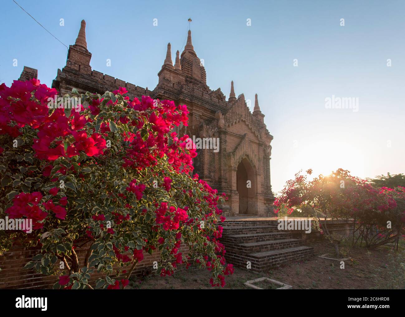 Brightly colored flowers at a temple in Old Bagan, Myanmar Stock Photo