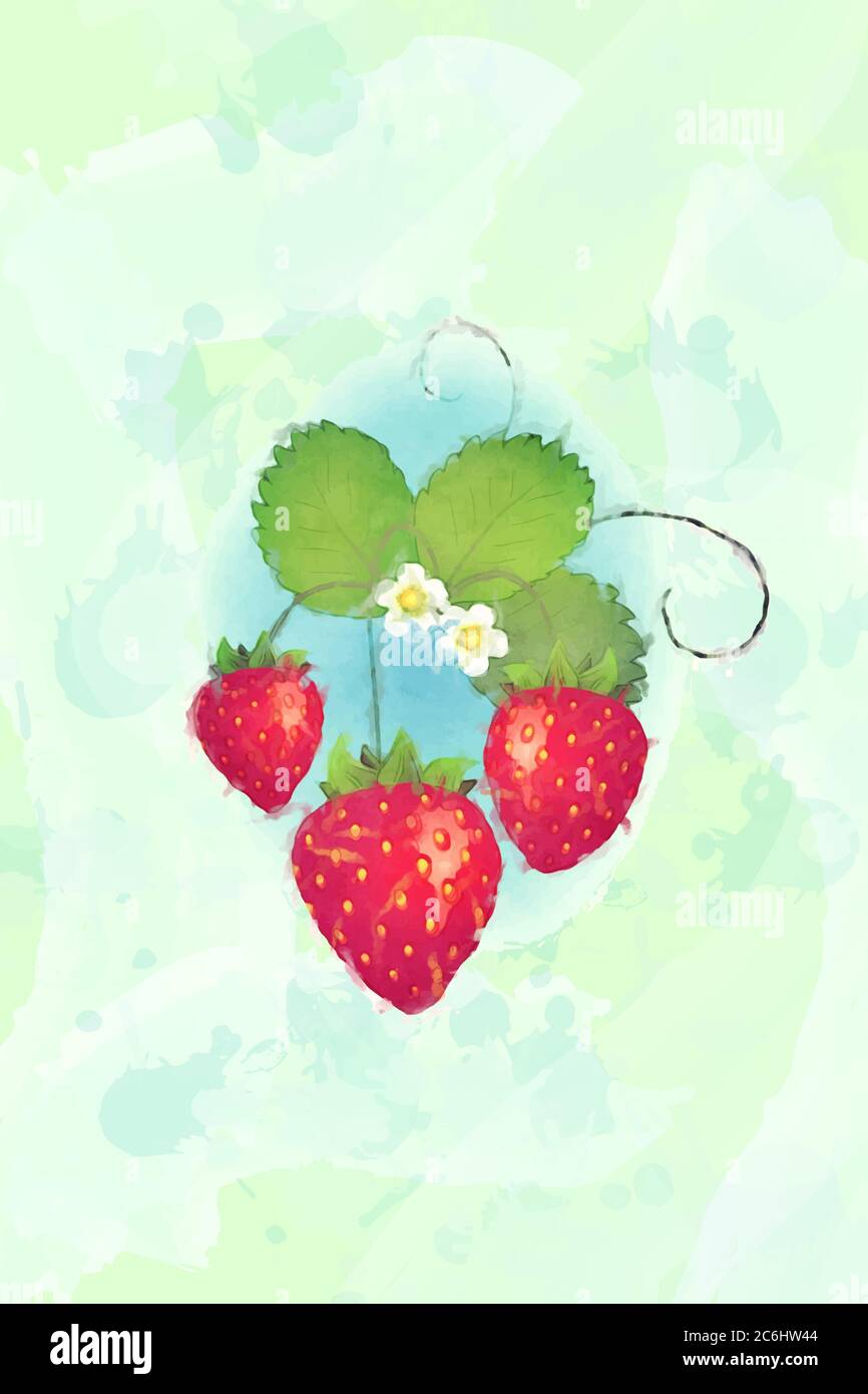A strawberry plant with flowers and fruits, watercolour effect design. EPS10 vector format Stock Vector