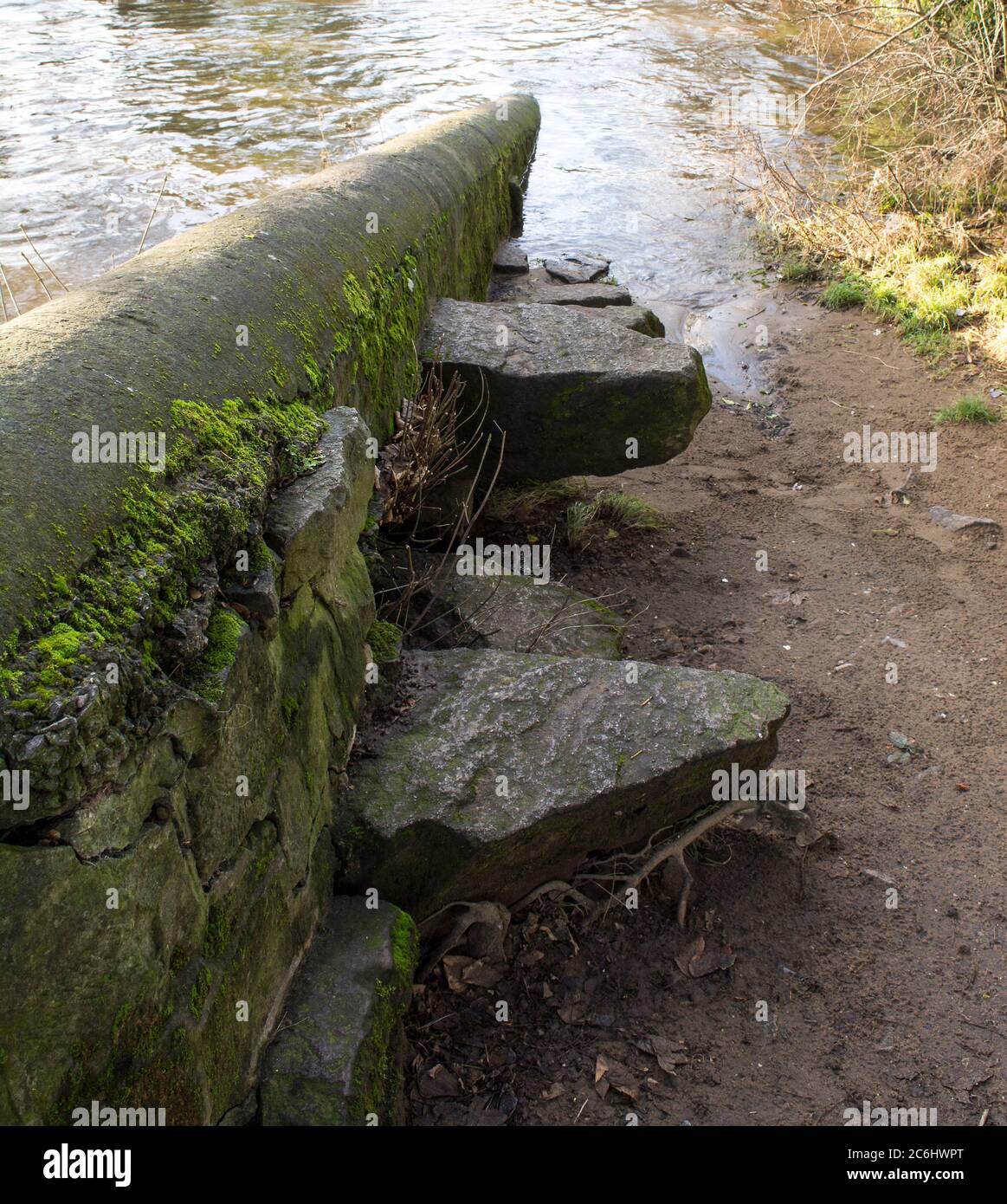 Stepping out of water hi-res stock photography and images - Alamy