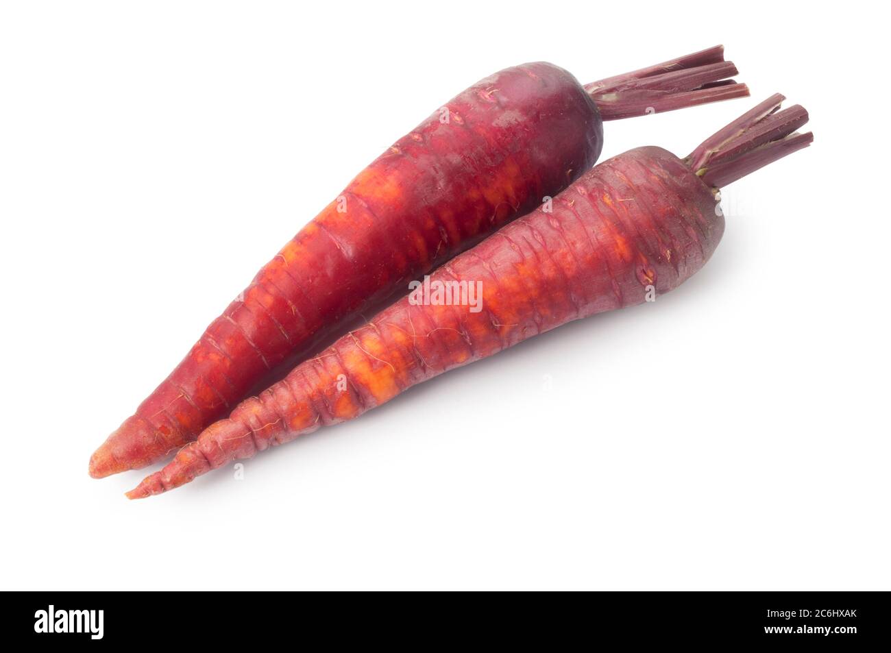 Studio shot of purple carrot cut against a white background - John Gollop Stock Photo