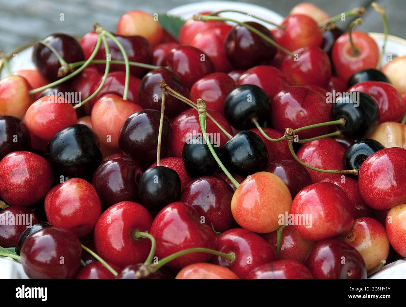 Suess-Kirschen Prunus avium, Sweet cherry Prunus avium Stock Photo