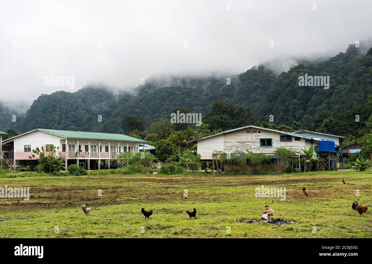 Government sponsored residential buildings of a resettlement project for the indigenous Penan people in a Penan Village near the Melinau River, Sarawa Stock Photo