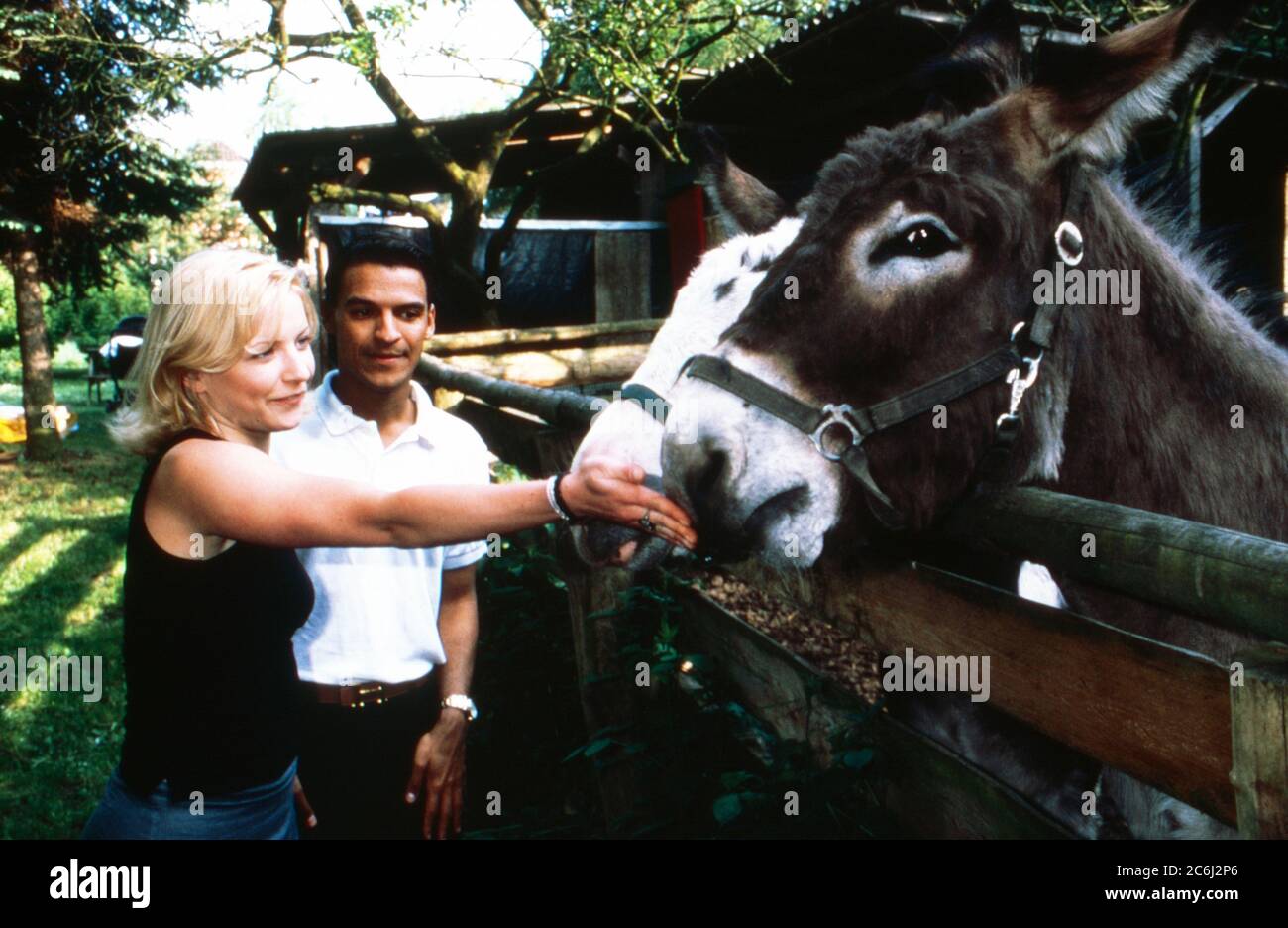 Michael Dierks und Diana Staehly, beide Schauspieler, füttern zwei Esel, Deutschland 1999. Stock Photo