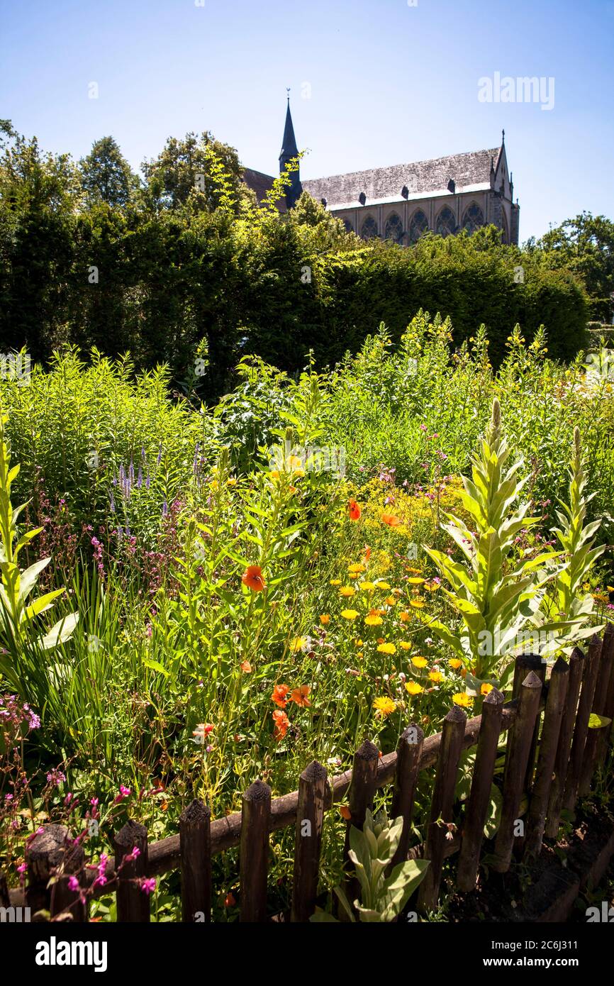 farm and herb garden at the Altenberg Cathedral in Odenthal, Bergisches Land region, North Rhine-Westphalia, Germany.   Bauern- und Kraeutergarten am Stock Photo
