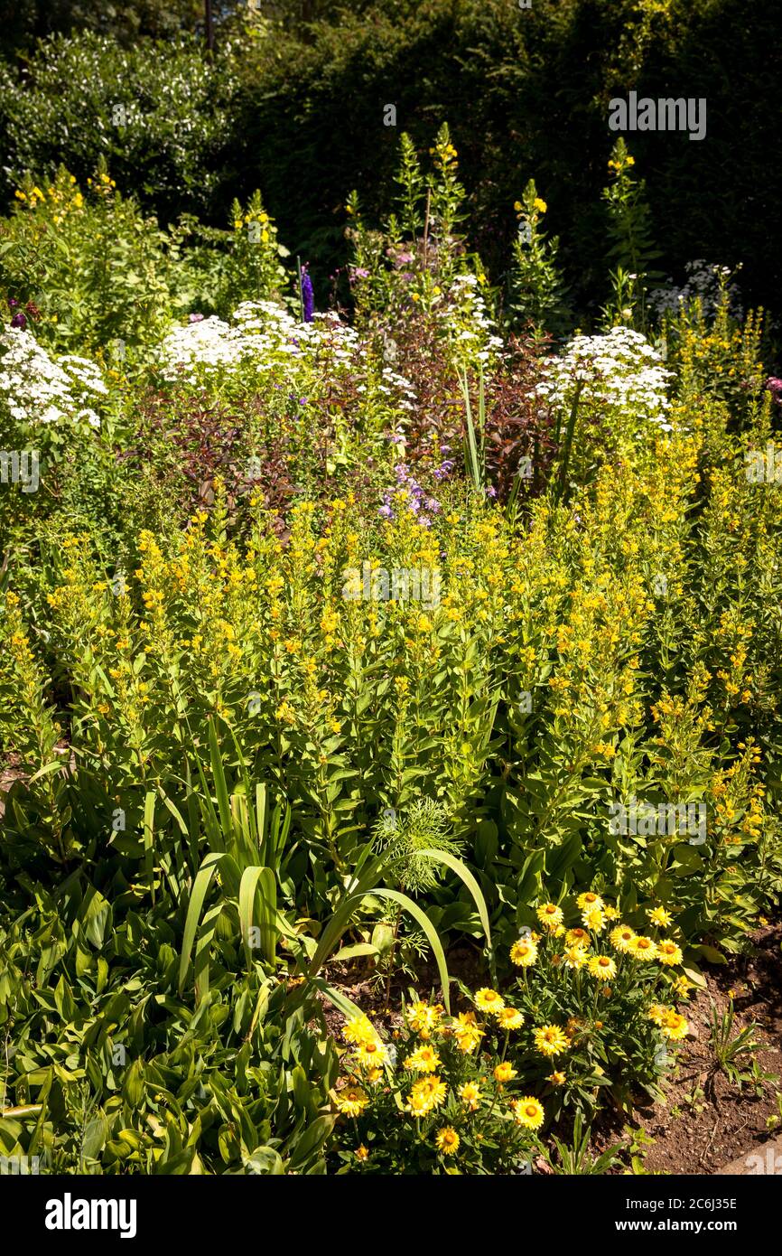 farm and herb garden at the Altenberg Cathedral in Odenthal, Bergisches Land region, North Rhine-Westphalia, Germany.   Bauern- und Kraeutergarten am Stock Photo