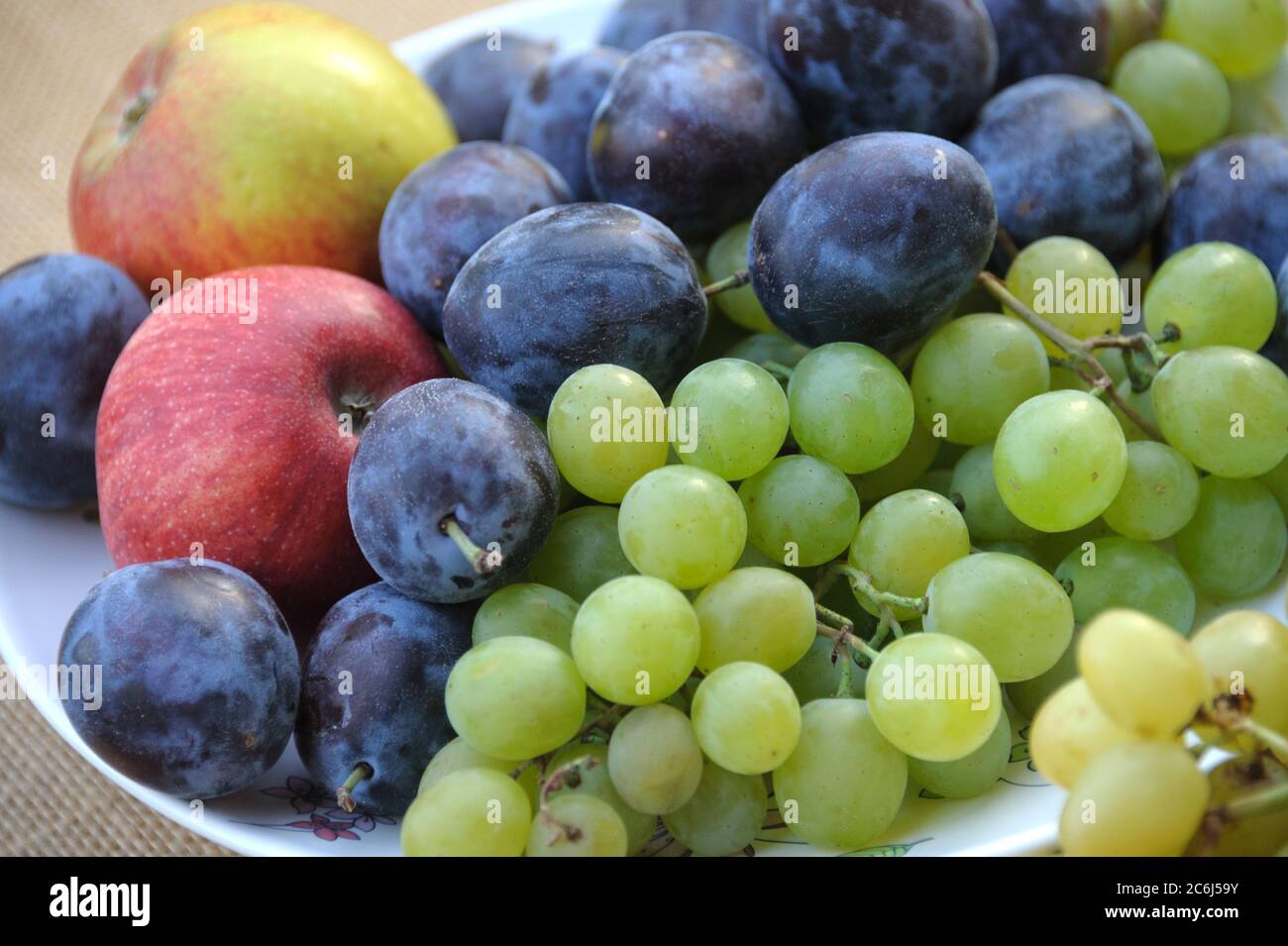 Hauszwetzsche Prunus domestica, Apfel Malus domestica, Tafeltraube Vitis vinifera, Hauszwetzsche Prunus domestica, apple Malus domestica, table grape Stock Photo