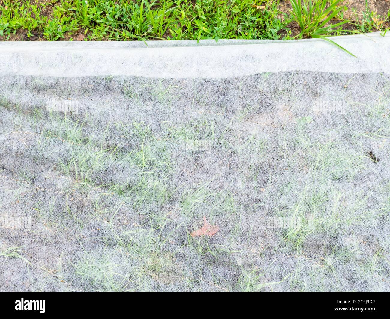 Mulching grass hires stock photography and images Alamy