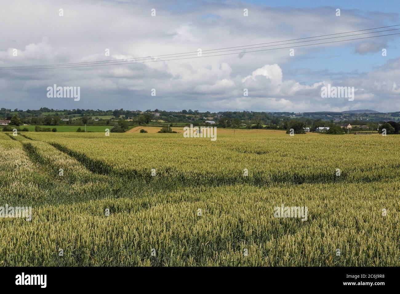 Broomhedge, County Antrim, Northern Ireland. 10 July 2020. UK weather – mild but frequent showers and sunshine due on a north westerly breeze. Credit: CAZIMB/Alamy Live News. Stock Photo
