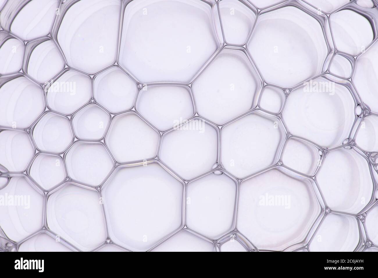 Macro close up of soap bubbles look like scienctific image of cell and cell membrane Stock Photo