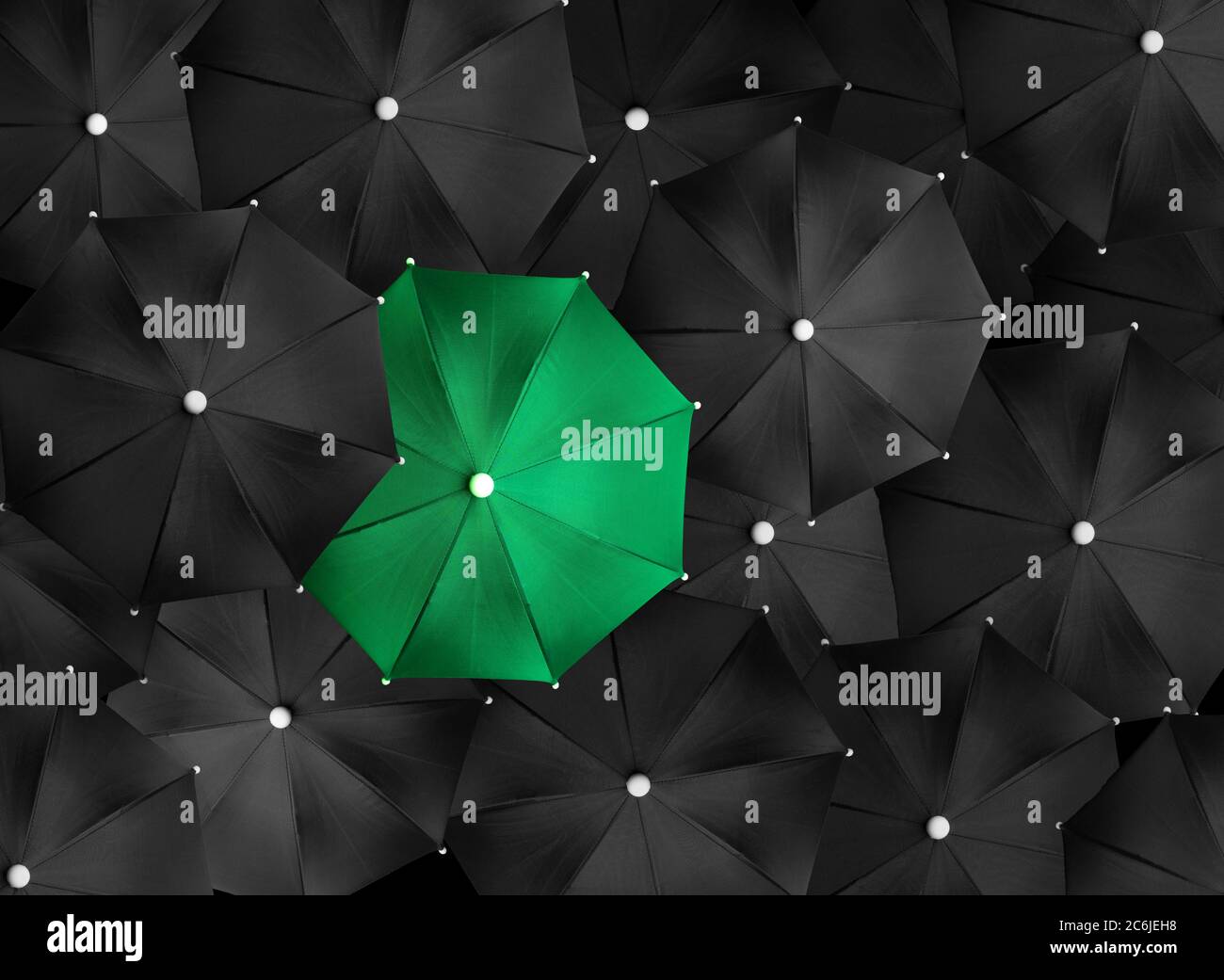 Concept image with lots of black umbrellas and a green umbrella that
